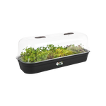 green basics grow tray l living black